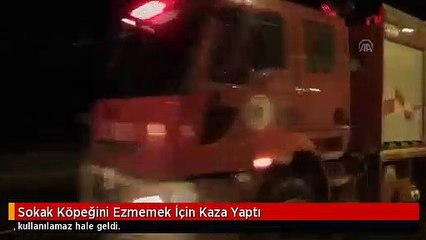 Sokak Köpeğini Ezmemek İçin Kaza Yaptı