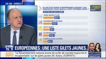 Gilets Jaunes: précisions sur notre sondage pour les européennes
