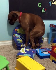 If I Fit, I Sit