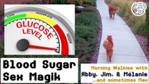 Blood Sugar Sex Magik -Walkies with Abby