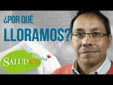 ¿Por qué lloramos? | Salud180