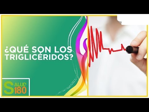 ¿Qué son los triglicéridos? | Salud180