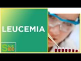 Características de la leucemia aguda | Salud180