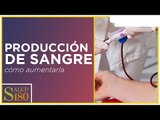 Recomendaciones para aumentar la producción de sangre | Salud180