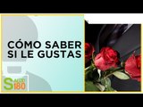 ¿Cómo saber si le gustas a él? | Salud180