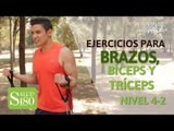 Ejercicios para brazos, bíceps y tríceps | Salud180