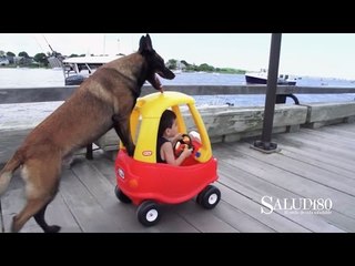 Perritos con instinto paternal | Alégrate  | Salud180