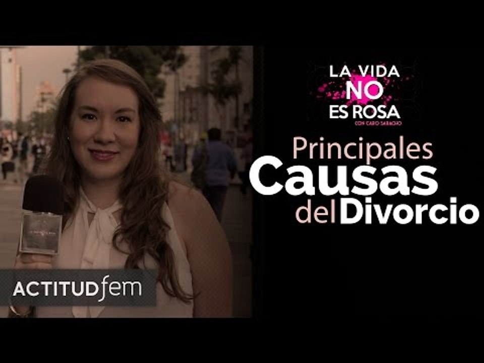 Cuáles son las principales causas del divorcio | ActitudFEM