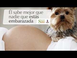 Él sabe mejor que nadie que estás embarazada | Cortos por Salud180