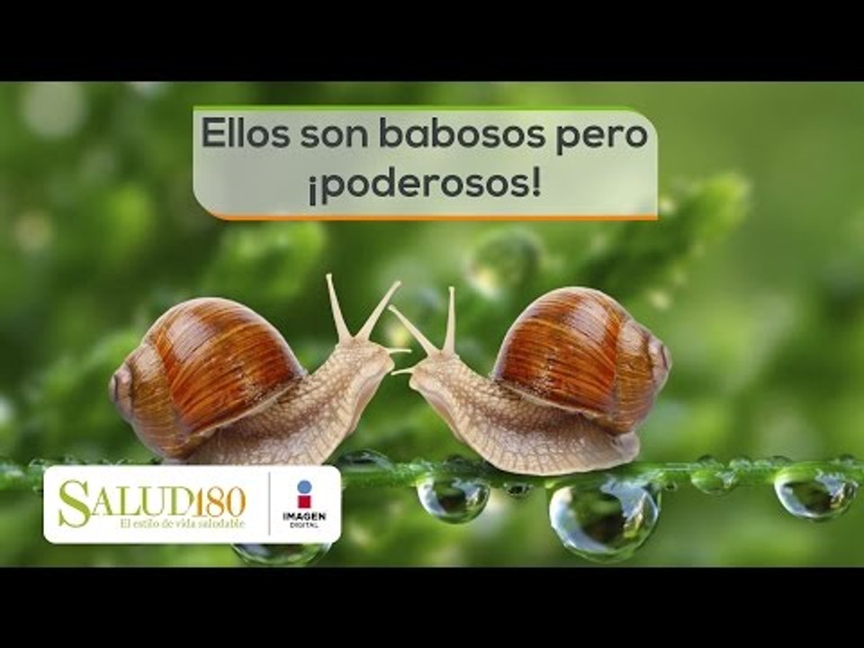 Ellos son babosos pero ¡poderosos!  | Cortos por Salud180