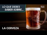 Beber cerveza es bueno para tu salud | Salud180