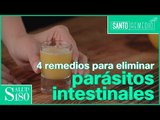 Remedios naturales para eliminar parásitos intestinales