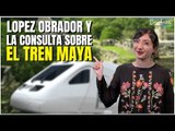 Todo sobre la consulta popular del Tren Maya de López Obrador