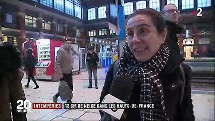 Neige : perturbations dans le Nord