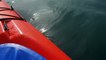 Cette kayakiste rencontre une orque et sa réaction est mythique