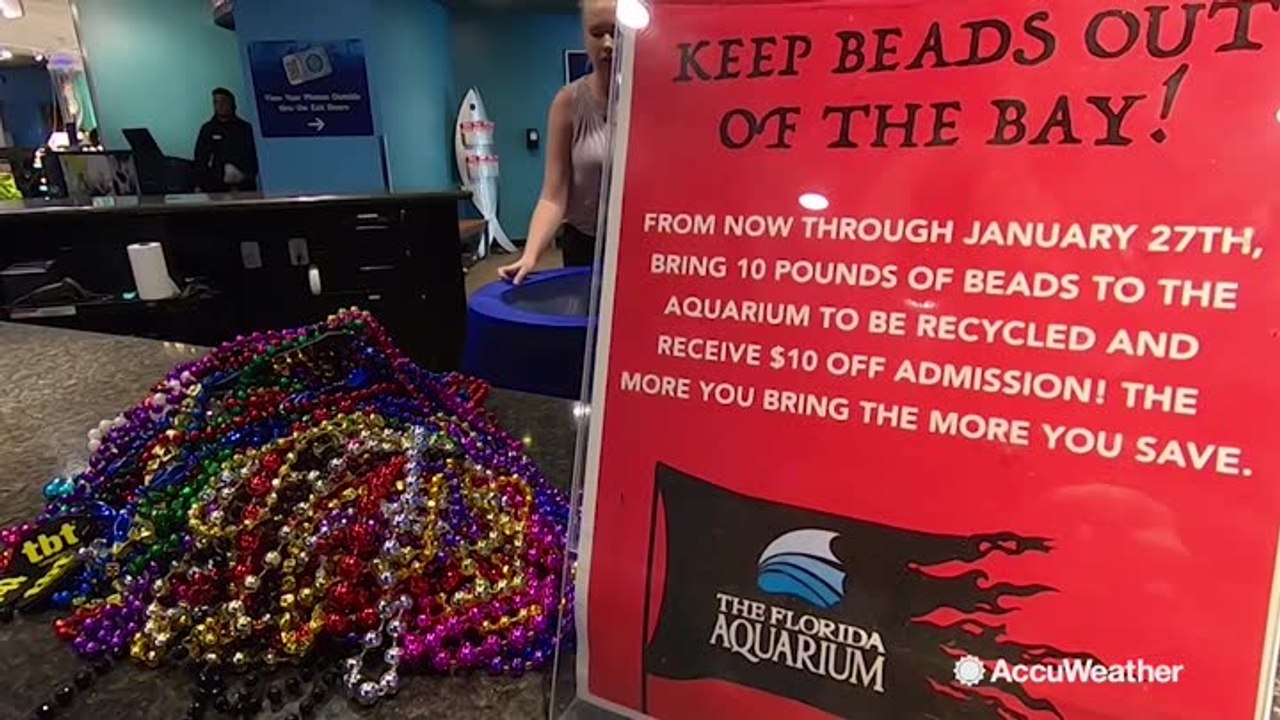 Florida Aquarium offers discount tickets for recycling beads