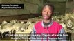Young refugee hopes to win French regional shepherding contest