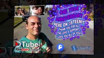 Thank You for All the Love and Support on My One Year Anniversary on @steemit - @dtube Anniversary Coming Soon - Shout Out to @neopch & @scottshots