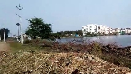 Lake View Plot for sale suitable for Luxury Villa opp Tadigadapa Cheruvu Vijayawada