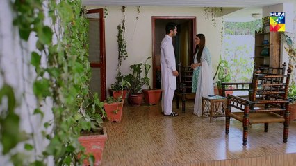 Tu Ishq Hai Episode #17 HUM TV Drama 23 January 2019
