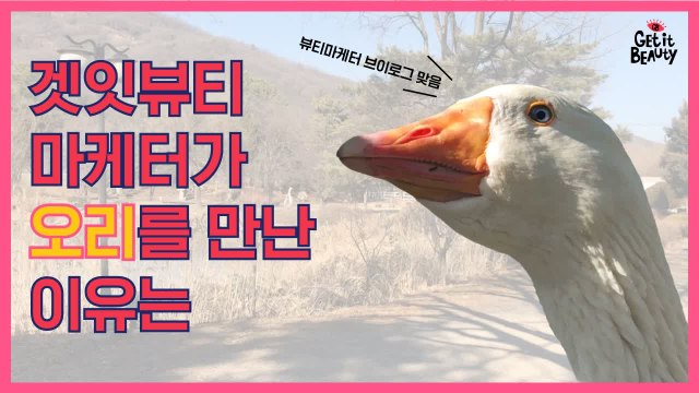 겟잇뷰티 마케터의 안흔한 브이로그 (뷰티 마케터가 농장엔 왜 가?)