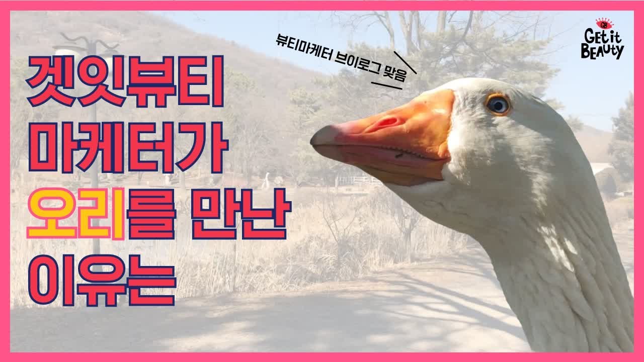 겟잇뷰티 마케터의 안흔한 브이로그 (뷰티 마케터가 농장엔 왜 가?)
