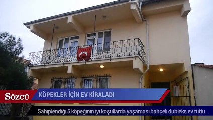 Köpekleri için bahçeli dubleks ev kiraladı
