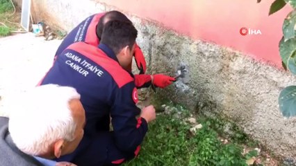 Duvardaki oyuğa sıkışan kedi böyle kurtarıldı