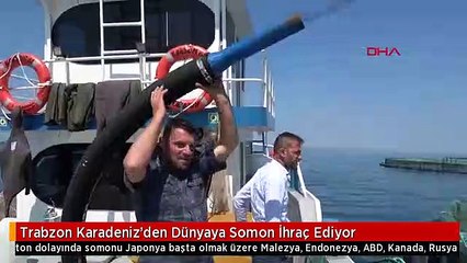 Trabzon Karadeniz'den Dünyaya Somon İhraç Ediyor