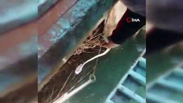 Baraj kapaklarına takılan martıyı itfaiye ekipleri kurtarıldı