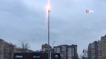 Kuşların Gökyüzünde Dansı Görsel Şölen Oluşturdu