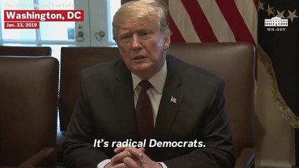 Donald Trump Says Chuck Schumer Is A ‘Puppet For Nancy Pelosi, If You Can Believe That’