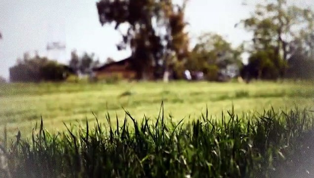 A louer - Parking/box - Frejus (83600) - 16m²