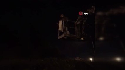 İzmir'de Gece Yarısı Papağan Kurtarma Operasyonu...ağaçta Mahsur Kalan Papağan İtfaiye Ekiplerini...