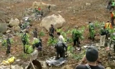 2.500 Pohon Ditanam di Sukabumi