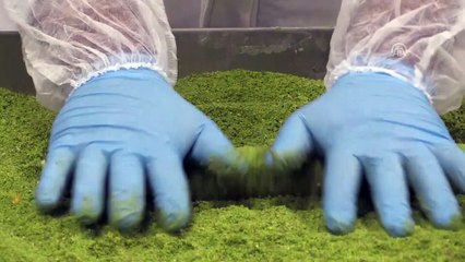 'Afyon lokumu' 50 ülkeye ihraç ediliyor - AFYONKARAHİSAR