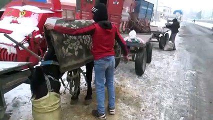 Atlarını soğuktan battaniye ile koruyorlar - AĞRI