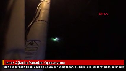 İzmir Ağaçta Papağan Operasyonu