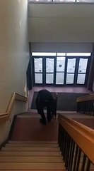 Glisser sur la rampe d'escalier
