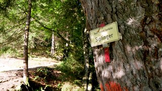 Bergtour im Allgäu: Über den Siplinger Kopf