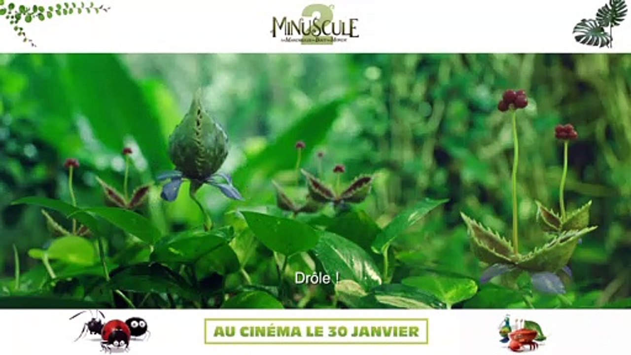 MINUSCULE 2 : Réactions spectateurs 1/2