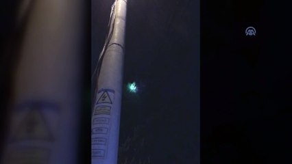 'Evden kaçan' papağana kurtarma operasyonu - İZMİR