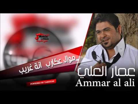 عمار العلي موال عكارب انة غريب | اغاني عراقي