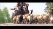 Thiruda Thiruda | Tamil Movie | Scenes | Clips | Comedy | Horse Cart Escape Scene