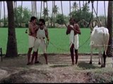 Sakalakala Vallavan | Tamil Movie | Scenes | Clips | Comedy | Kamala Hassan Fight Scene