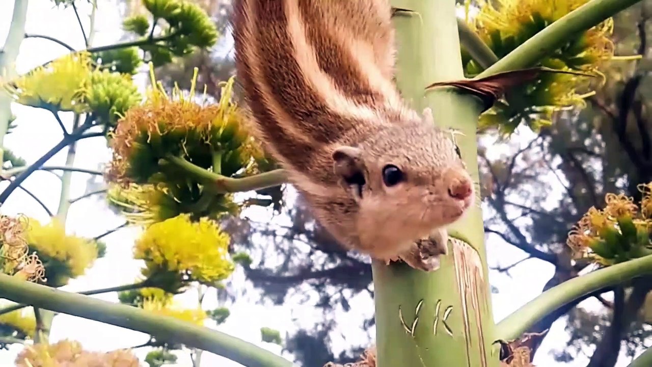 NEW DELHI Travel Video - QUTUB MINAR | AGRASEN KI BAOLI | JANTHER MANTHAR | OLD DELHI