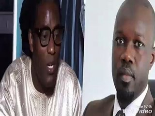 Siège de Pastef saccagé - Mame Goor Diazaka démonte Sonko : "Ken todiouko, waxoul deugue..."