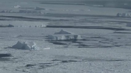 Scientists drill over 2km through ice layer in West Antarctica for first time ever