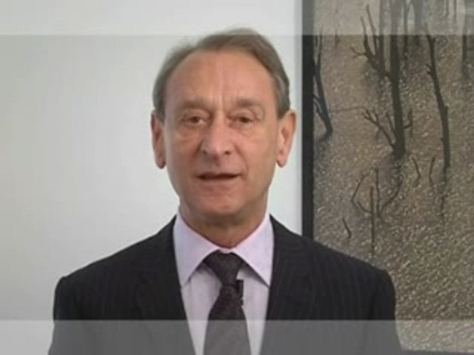 Voeux 2008