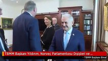 TBMM Başkanı Yıldırım, Norveç Parlamentosu Dışişleri ve Savunma Komisyonu Başkanı Huildfeldt'i...